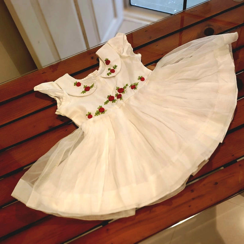 Adorable Organza Frock for Your Little Princess