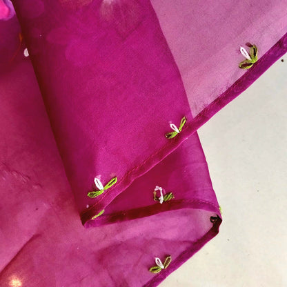 Gorgeous Hand-Painted And Hand Embroidered Silk Organza Saree.